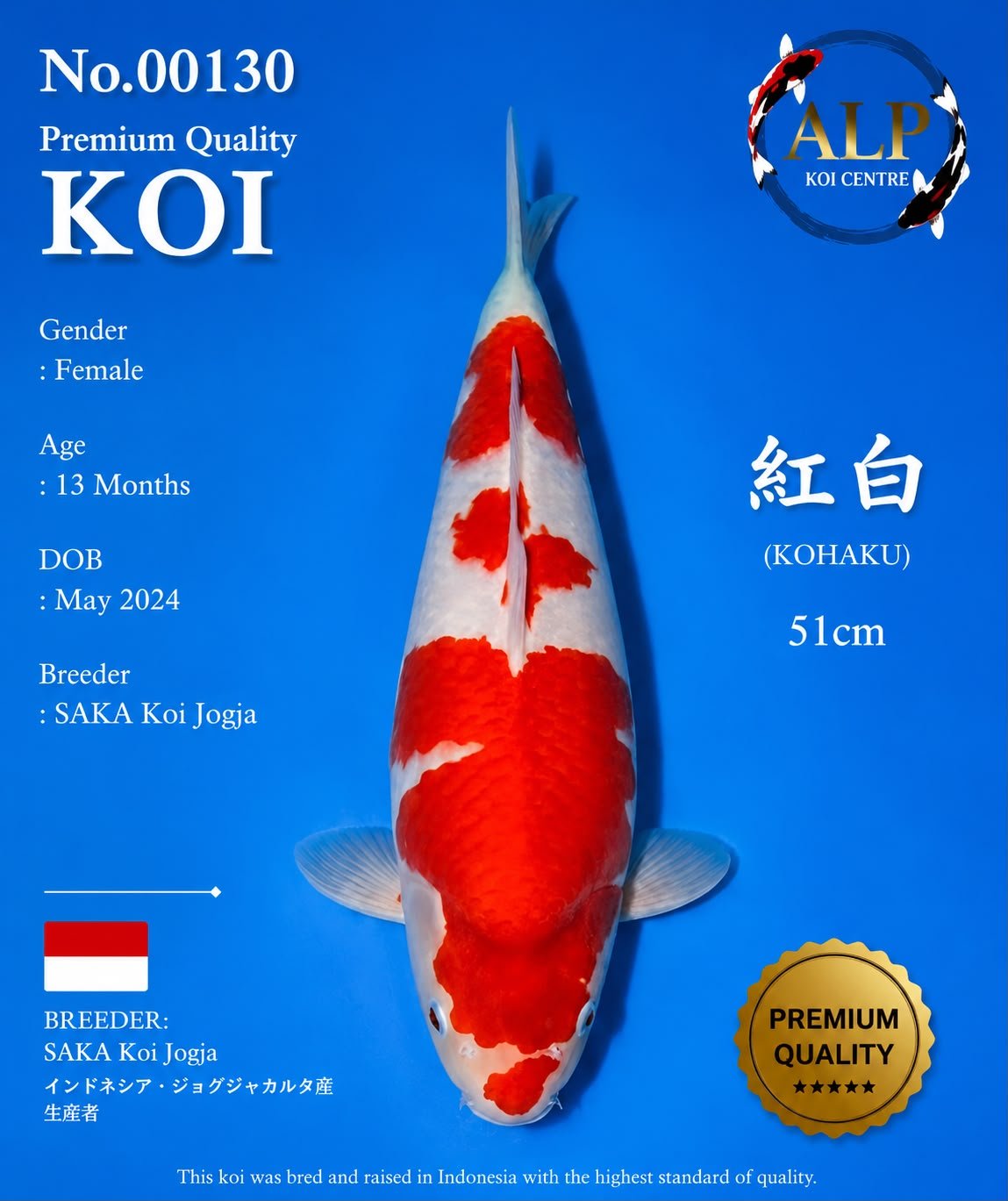 Koi No. 00130 - ALP Koi Centre