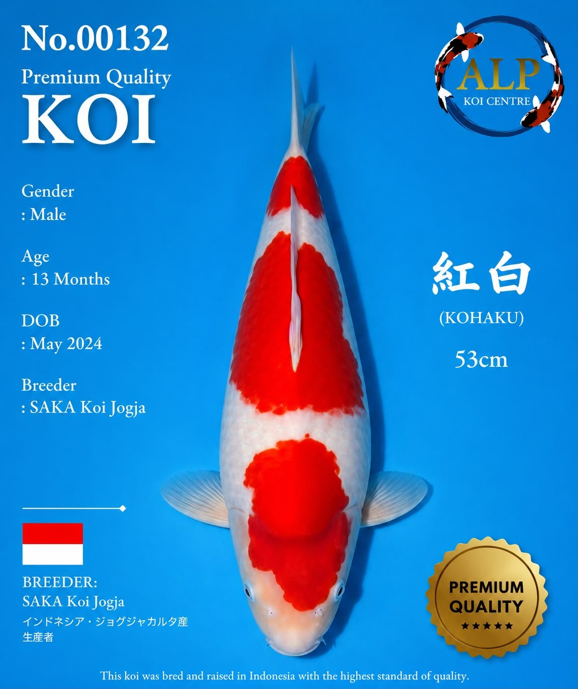 Koi No. 00132 - ALP Koi Centre